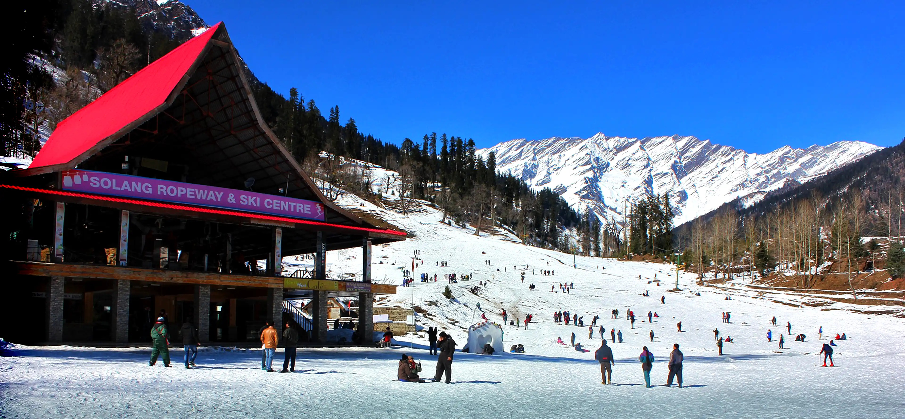 Shimla & Manali Celebration