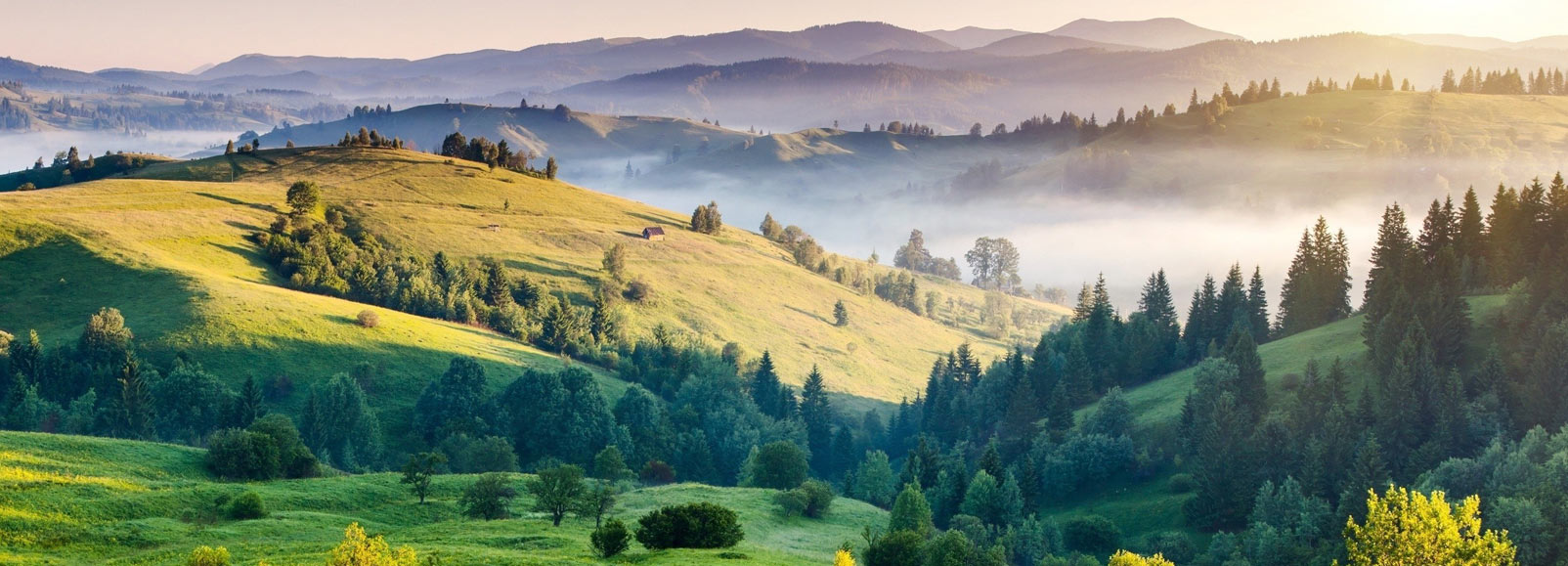 Mussoorie & Dehradun Delight: 4 Days and 3 Nights