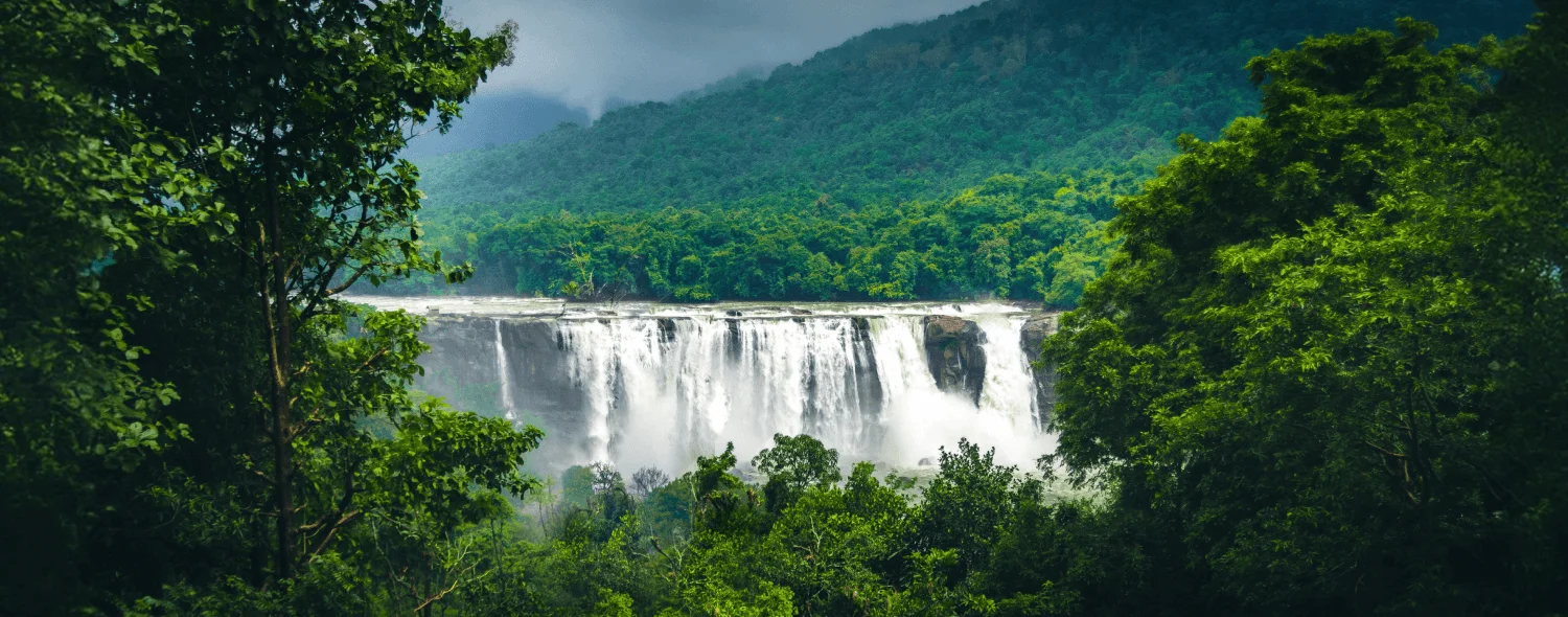 Luxurious 5-Night Kerala Escape