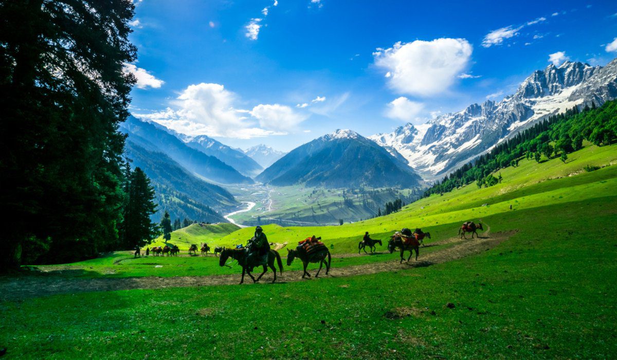 New Year and Christmas Trip To Kashmir